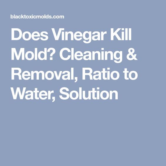 Does Vinegar Kill Mold? Cleaning &  Removal, Ratio to Water, Solution ...