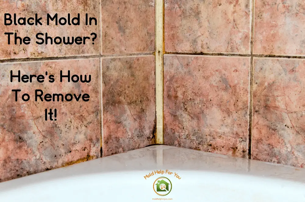 How To Clean Mold In Shower Grout Naturally