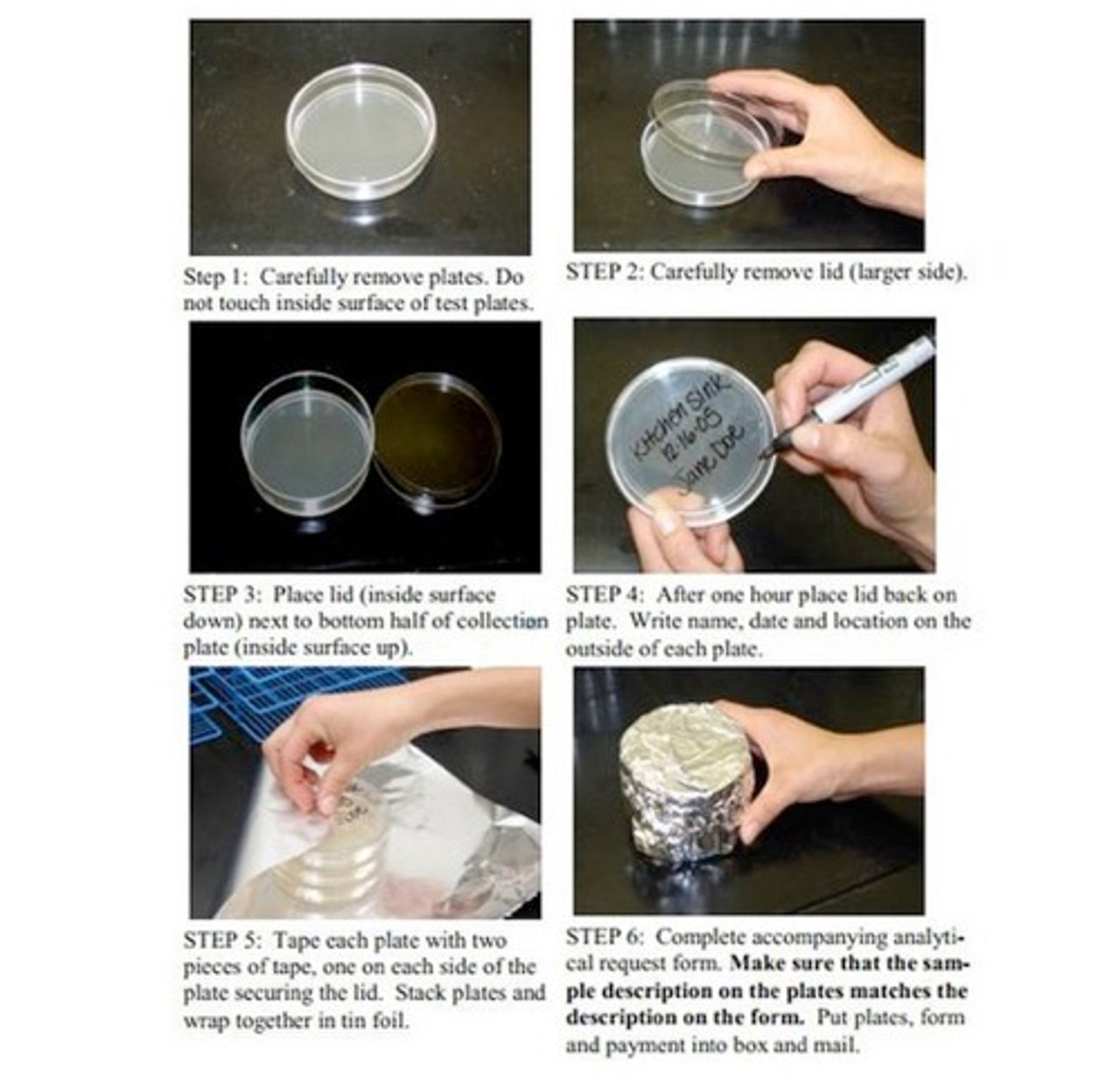 ImmunoLytics Diagnostic Mold Test Kit