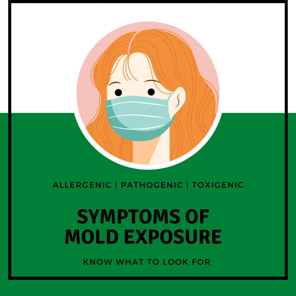 The Health Effects of Mold