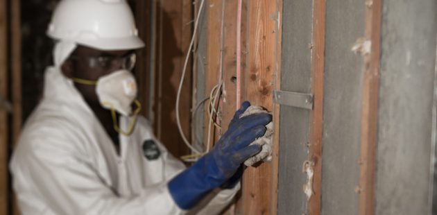 When is mold remediation required?